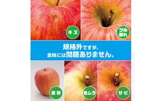 ＜R7年11月上旬～発送開始＞内容量　約10Kg　訳ありりんご　シナノスイート　24～46個入【1333054】 685643 - 青森県黒石市