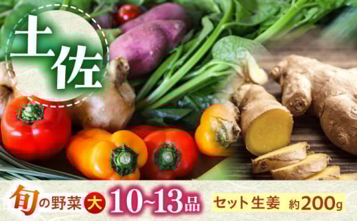土佐の太陽をいっぱいに浴びた旬の野菜生姜約200gのセット「大」【土佐野菜】 [ATBA004] 454230 - 高知県高知市