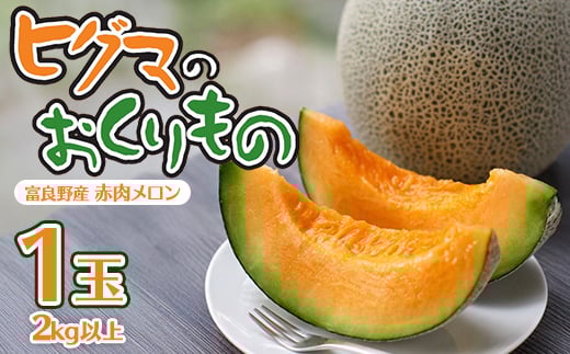 ＜2026年発送先行受付＞ヒグマのおくりもの 富良野メロン (赤肉) 1玉 2㎏以上_メロン 富良野 北海道 ふらのメロン 1玉 フルーツ 赤肉 果物 くだもの 人気 おすすめ 送料無料 贈答 ギフト【1519706】