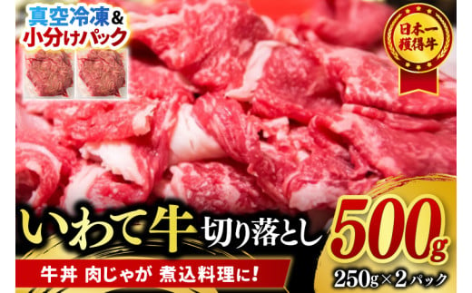 切り落とし 肉 牛肉 小分け 真空冷凍 いわて牛 500g 岩手県産 和牛 牛肉 黒毛 和牛 切り落とし肉 大容量 肉 すき焼き 肉じゃが 煮込み 煮物 赤身 国産牛 小分け 冷凍 数量限定 (AB097)