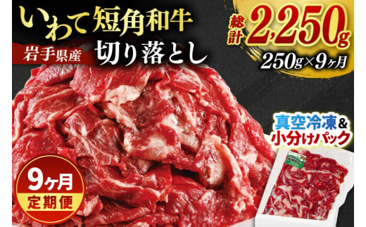 ＼9ヶ月連続 定期便／ 切り落とし 赤身 肉 牛肉 いわて 短角和牛 250g (総計 2250g) 小分けパック 真空冷凍 | 牛肉 肉 赤身 短角 和牛 国産牛 ブランド牛 切り落し 大容量 牛丼 肉じゃが 煮込み 煮物 小分け 真空パック 数量限定 (AB113) 2015482 - 岩手県紫波町