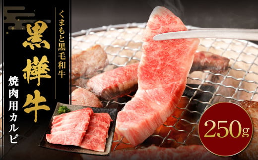 黒樺牛 焼肉用カルビ 250g×1パック 黒毛和牛 焼き肉 牛肉 冷凍 2013223 - 熊本県湯前町