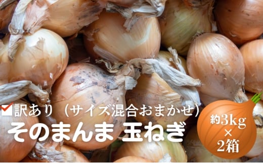 訳あり（サイズ混合おまかせ）そのまんま 玉ねぎ（約3kg×2箱）計約6kg たまねぎ 野菜 