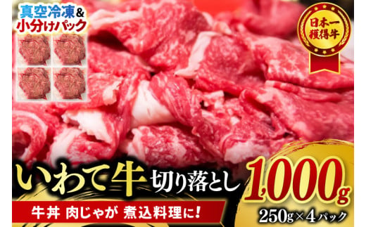 切り落とし 肉 牛肉 小分け 真空冷凍 いわて牛 1000g 岩手県産 和牛 牛肉 黒毛 和牛 切り落とし肉 大容量 肉 すき焼き 肉じゃが 煮込み 煮物 赤身 国産牛 小分け 冷凍 数量限定 (AB107) 2013270 - 岩手県紫波町