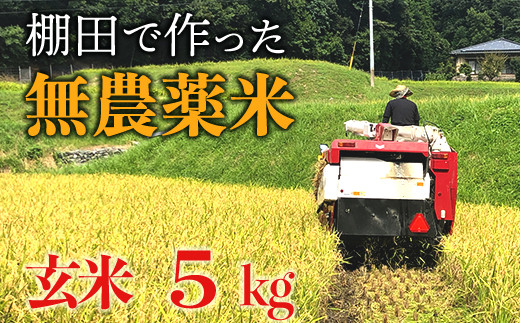 [新米]赤村産棚田米こだわりの夢つくし(玄米)5kg J1-S