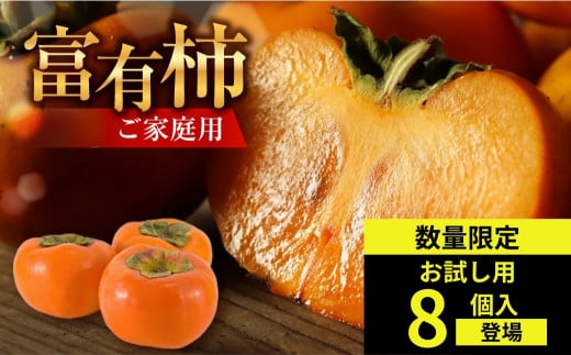 【先行予約／令和7年産】《 訳あり 》 富有柿 ご家庭用 お試し8個入 S-Mサイズ 福井農園 [11月～12月に発送予定]  ｜富有柿 ふゆうがき かき フルーツ 柿 かき 規格外 わけあり 不揃い ふぞろい ご自宅用 果物 くだもの フルーツ 本巣市  2012528 - 岐阜県本巣市