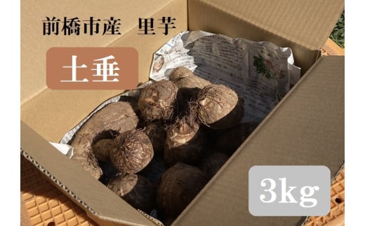 [先行予約]里芋 3Kg(品種:土垂)農薬・化学肥料不使用|新鮮 農家直送 旬 野菜 さといも R6-47