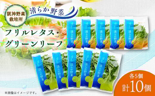 清らか野菜　フリルレタス・グリーンリーフ　10個入り(各5個)【1587981】
