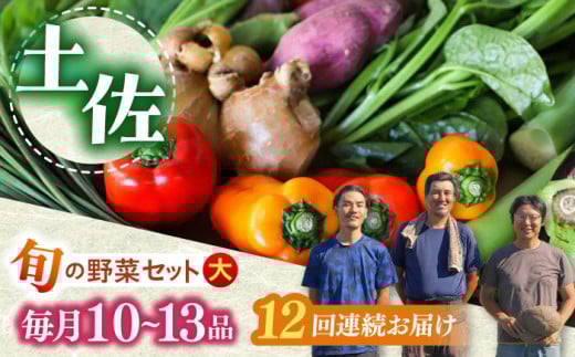 【12回定期便】土佐の太陽をいっぱいに浴びた旬の野菜セット「大」 (12回配送)【土佐野菜】 [ATBA010] 454244 - 高知県高知市