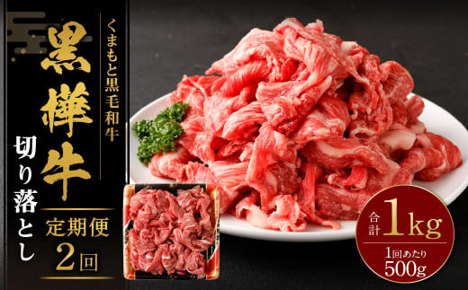 【2回定期便】 黒樺牛 切り落とし500g （500g×1パック） 計1000g 黒毛和牛 牛肉 切り落とし肉 冷凍 2013221 - 熊本県湯前町