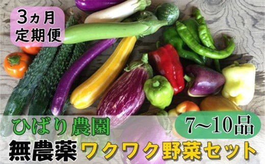 【定期便3回】ひばり農園の無農薬ワクワク野菜セット  【2151】