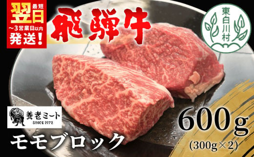 飛騨牛 モモブロック 600g 300g×2 牛肉 和牛 肉 ローストビーフ 焼肉 ステーキ 赤身 赤身肉 牛 鉄板焼き お祝い 贈答 ギフト 贈り物 ふるさと納税 東白川村 岐阜 贅沢 モモ もも肉 養老ミート 23000円