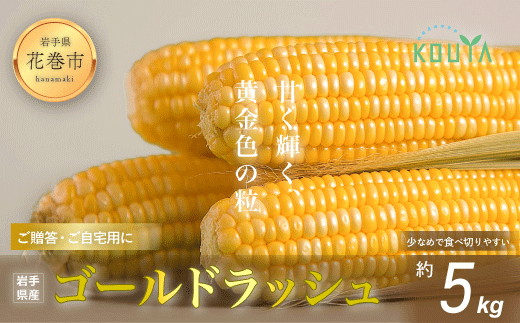 《先行予約》岩手県産　耕野のとうもろこし「ゴールドラッシュ」約5kg（10～15本） 【1895】