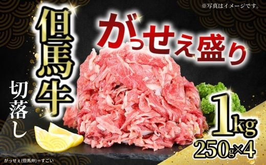 【神戸牛がっせぇ盛り スライス切り落とし計1kg（250g×4） 冷凍】発送目安：入金確認後1ヶ月程度 配送日の指定はできません。 大人気 人気ふるさと納税 返礼品 おすすめ ランキング しゃぶ 牛肉 ステーキ しゃぶしゃぶ すき焼き 焼肉   但馬 神戸 兵庫県  但馬牛  27000円 72-23