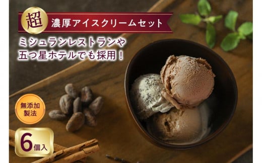 ハンデルスベーゲン×ダンデライン・チョコレート 無添加アイスクリーム / BEAN TO ICECREAM with HV チョコミント スパイス バニラ ピスタチオ ベリー 2011350 - 神奈川県横浜市