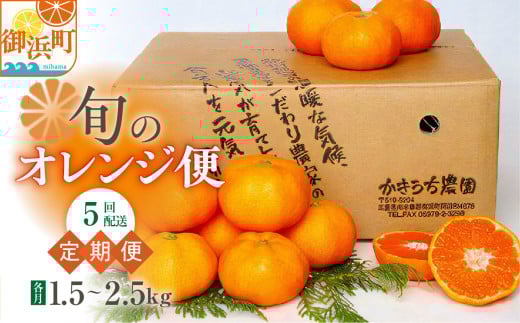 旬のオレンジ便（全5回） 果物 フルーツ みかん オレンジ 定期便 定期 5回 三重県 御浜町 