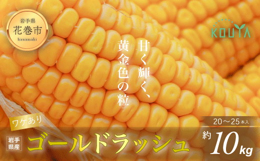 《先行予約》【訳あり】岩手県産 耕野のとうもろこし「ゴールドラッシュ」約10kg（20～25本） 【1897】