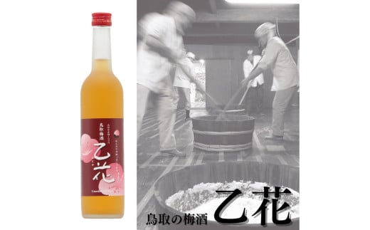 109K.鳥取の梅酒『乙花』