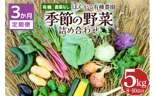 【3か月定期便】定期便 オーガニック 有機 農薬なし ぽんがる有機農園 季節の野菜 詰め合わせ 5kg 【発送時期：5-12月】