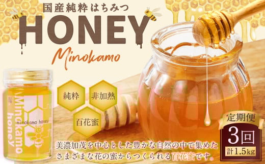 【3ヶ月定期便】国産 無添加 MINOKAMO HONEY はちみつ 1本（500g）×3回 ｜ 藤井養蜂 蜂蜜 ハニー 非加熱 純粋 百花蜜 定期便 岐阜 1467460 - 岐阜県美濃加茂市