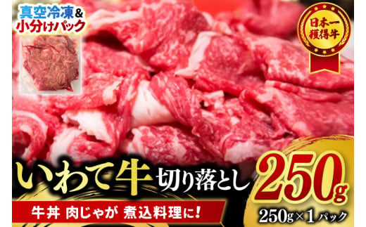 切り落とし 肉 牛肉 小分け 真空冷凍 いわて牛 250g 岩手県産 和牛 牛肉 黒毛 和牛 切り落とし肉 大容量 肉 すき焼き 肉じゃが 煮込み 煮物 赤身 国産牛 小分け 冷凍 数量限定 (AB092) 2013267 - 岩手県紫波町