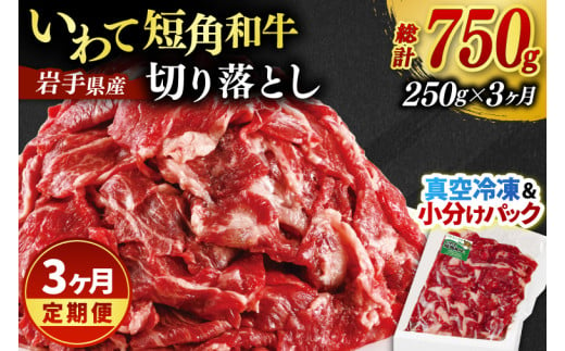 ＼3ヶ月連続 定期便／ 切り落とし 赤身 肉 牛肉 いわて 短角和牛 250g (総計 750g) 小分けパック 真空冷凍 | 牛肉 肉 赤身 短角 和牛 国産牛 ブランド牛 切り落し 大容量 牛丼 肉じゃが 煮込み 煮物 小分け 真空パック 数量限定 (AB111) 2015480 - 岩手県紫波町