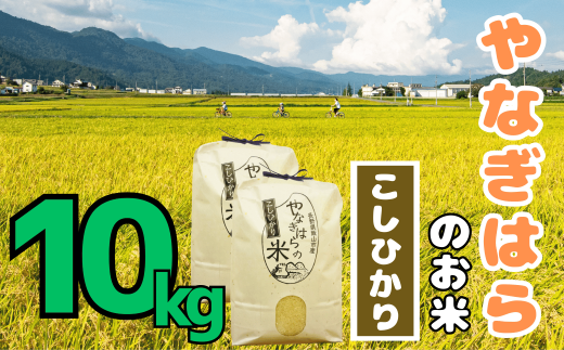 【令和6年産】 「やなぎはらの米」 こしひかり 10㎏（慣行栽培米）(6-95A) 2015357 - 長野県飯山市