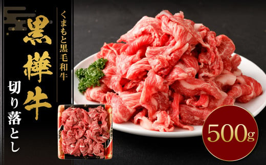 黒樺牛 切り落とし500g （500g×1パック） 黒毛和牛 牛肉 切り落とし肉 冷凍 2013218 - 熊本県湯前町