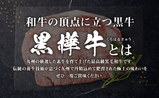 【2回定期便】 黒樺牛 ロースステーキ 400g （200g×2パック）