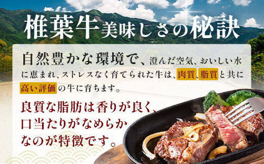 画像はイメージです
