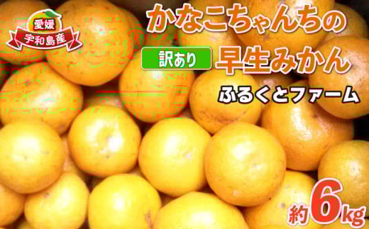 訳あり 早生 6kg ふるくとファーム  先行予約 かなこちゃんち 果物 くだもの フルーツ 柑橘 みかん 蜜柑 mikan ビタミンC たっぷり 愛媛ミカン 愛媛蜜柑 愛媛みかん 農家直送 産地直送 数量限定 国産 愛媛 宇和島 B010-037004 2038684 - 愛媛県宇和島市