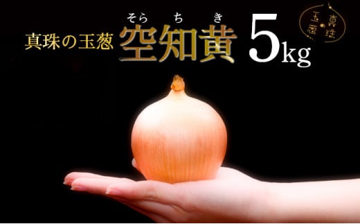 真珠の玉葱 空知黄 5kg≪海のミネラルで育てた幻の玉葱空知黄≫【50105】 982414 - 北海道岩見沢市
