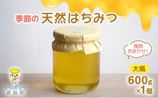 [№5695-1958]種類おまかせ！季節の天然はちみつ（大瓶600g×1個）ハチミツ 蜂蜜 島田市 静岡県 2017251 - 静岡県島田市