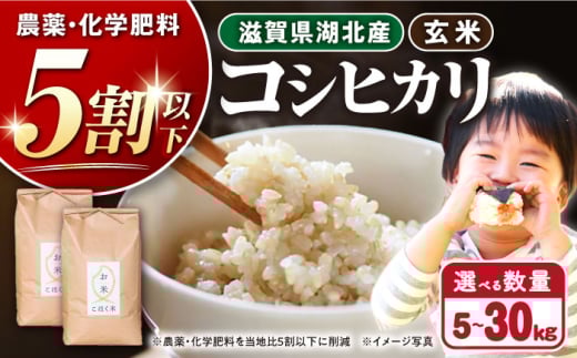 令和6年産  湖北産 コシヒカリ 30kg(玄米)　長浜市/株式会社エース物産[AQAK007] こしひかり 米 30kg お米 ご飯 ごはん ゴハン 近江米 滋賀県 1029919 - 滋賀県長浜市