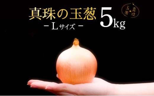 真珠の玉葱 Lサイズ5kg≪海のミネラルで育てた玉葱≫【50103】 982412 - 北海道岩見沢市