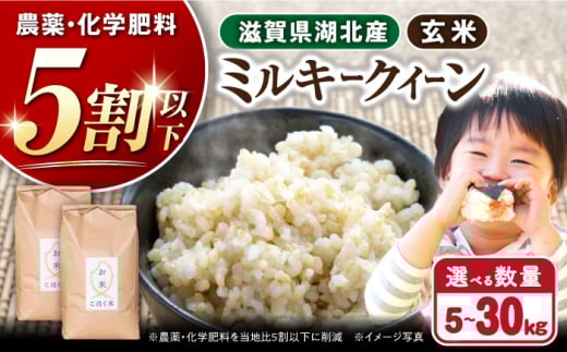 令和6年産  湖北産 ミルキークイーン 20kg (玄米)　長浜市/株式会社エース物産[AQAK013] 米 お米 ご飯 ごはん ゴハン 近江米 滋賀県 1029904 - 滋賀県長浜市