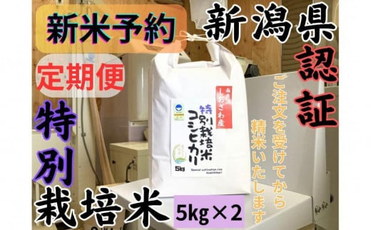 【令和7年産・新米予約・定期便】安心安全の新潟県南魚沼産特別栽培米コシヒカリ　10kg×６か月　新潟県認証