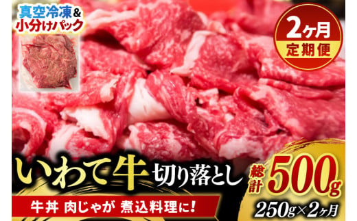 ＼2ヶ月連続 定期便／ 切り落とし 肉 牛肉 小分け 真空冷凍 いわて牛 250g (総計 500g) 岩手県産 和牛 牛肉 黒毛 和牛 切り落とし肉 大容量 肉 すき焼き 肉じゃが 煮込み 煮物 赤身 国産牛 小分け 冷凍 数量限定 (AB093) 2016085 - 岩手県紫波町