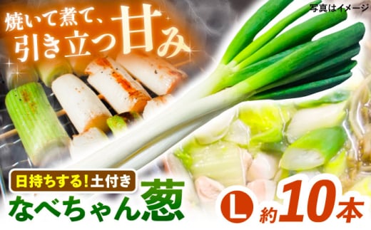 [2025年11月発送開始]焼いてそのまま美味しい!なべちゃん葱(土付き)秀品 Lサイズ2.5kg(約10本) ねぎ ネギ 島根県雲南市/山さんファーム [AICO004]