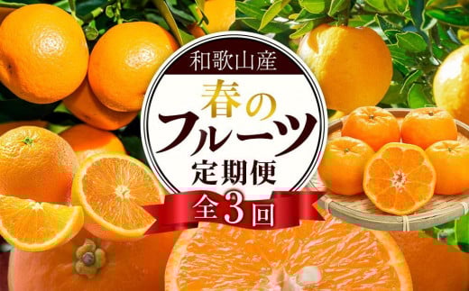 和歌山の春のフルーツ（ポンカン・清見オレンジ・セミノールオレンジ）定期便 全3回 【2月・3月・4月発送】【TM184】 1514979 - 和歌山県和歌山市