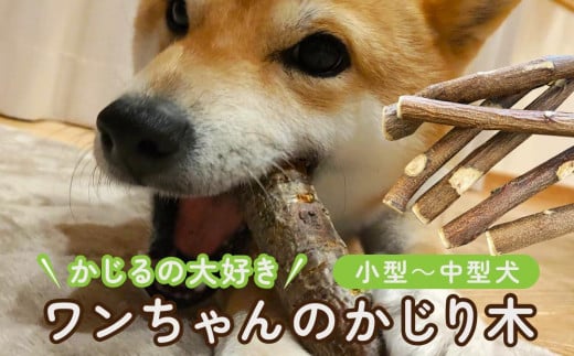 かじるの大好き　ワンちゃんのかじり木（小型～中型犬）