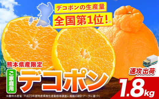 デコポン 約1.8kg(3-5玉前後) 《1-5営業日以内に出荷予定(土日祝除く)》 柑橘 不知火 デコポン みかん フルーツ 果物 旬 ご家庭用 訳あり みかん 好き必見