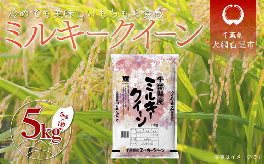 令和6年産 千葉県産「ミルキークイーン」5kg お米 5キロ 千葉県産 大網白里市 ミルキークイーン 米 精米 こめ A050