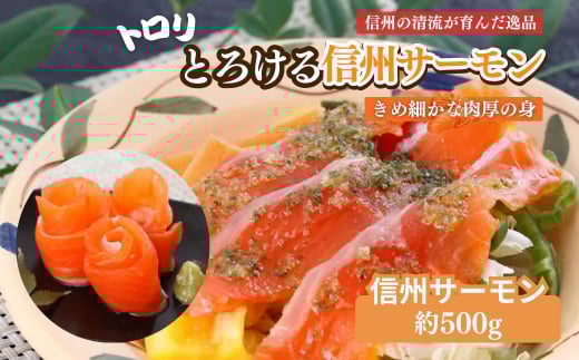 サーモン トロリとろける信州サーモン（虹鱒×ブラウントラウト）生食用約500g 刺身 冷凍 国産 スライス ホイル焼き 長野県 山ノ内町