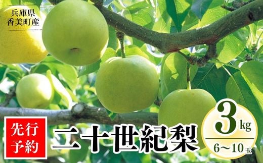 【先行予約】【梨 20世紀梨 香住梨 3kg ご自宅用 優品（Bランク）L～5Lサイズ混合6～10玉】大人気 ふるさと納税 おすすめ 返礼品 ランキング 二十世紀梨 シャキシャキの食感 ほどよい甘さとみずみずしさ 日本海に面する梨の本場 香美町で育つ香住梨 一つひとつの糖度を計測 兵庫県 香住 フルーツ ナシ 贈答品 ギフト 青梨 和梨 国産 たじまんま JAたじま 10000円 76-03