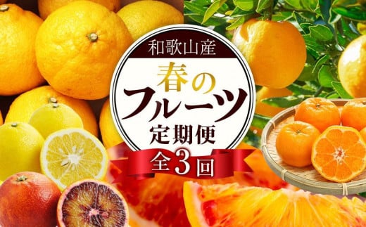 定期便全3回 【2月・3月・4月発送】 和歌山の春の柑橘 （ポンカン・はるか・ブラッドオレンジ）秀品【TM173】 1457695 - 和歌山県海南市