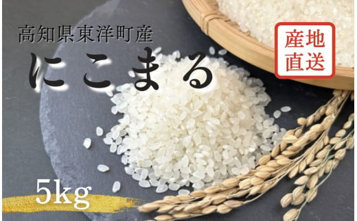 S249-1 ＜2025年11月発送＞令和7年産にこまる ＜5kg＞国産 米 新米 お米 高知県産 2016174 - 高知県東洋町