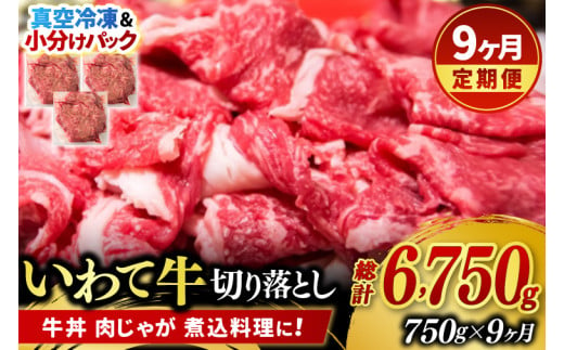 ＼9ヶ月連続 定期便／ 切り落とし 肉 牛肉 小分け 真空冷凍 いわて牛 750g (総計 6750g) 岩手県産 和牛 牛肉 黒毛 和牛 切り落とし肉 大容量 肉 すき焼き 肉じゃが 煮込み 煮物 赤身 国産牛 小分け 冷凍 数量限定 (AB106)