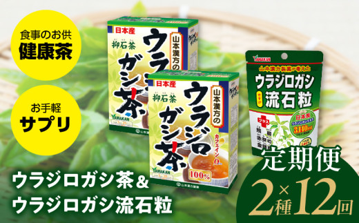 ＜12ヶ月連続定期便＞ウラジロガシ茶＆ウラジロガシ 流石粒