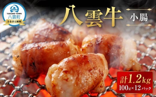 【北海道情報雑誌で紹介！】八雲牛 小腸 合計1.2kg (100ｇ×12パック)【 肉 お肉 にく 牛 牛肉 小腸 焼肉 焼き肉 鍋 お鍋 食品 グルメ お取り寄せ お取り寄せグルメ 人気 おすすめ  八雲町 北海道   】 1710533 - 北海道八雲町